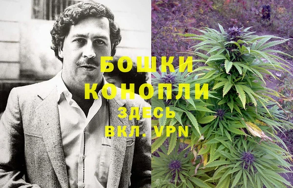 амф Дубна