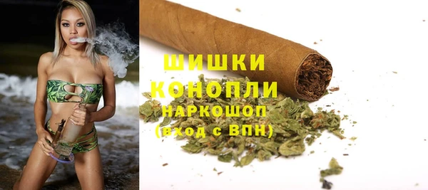 дмт Протвино