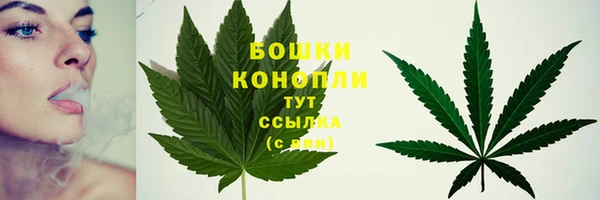 СК Рославль