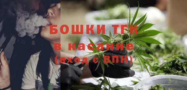 дмт Протвино