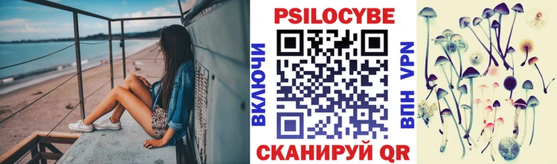 omg ONION  закладка  Удомля  Галлюциногенные грибы Psilocybine cubensis 