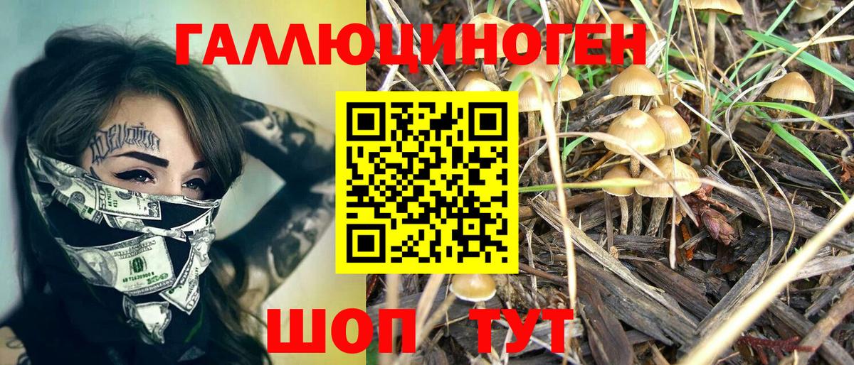 Галлюциногенные грибы Psilocybe Удомля
