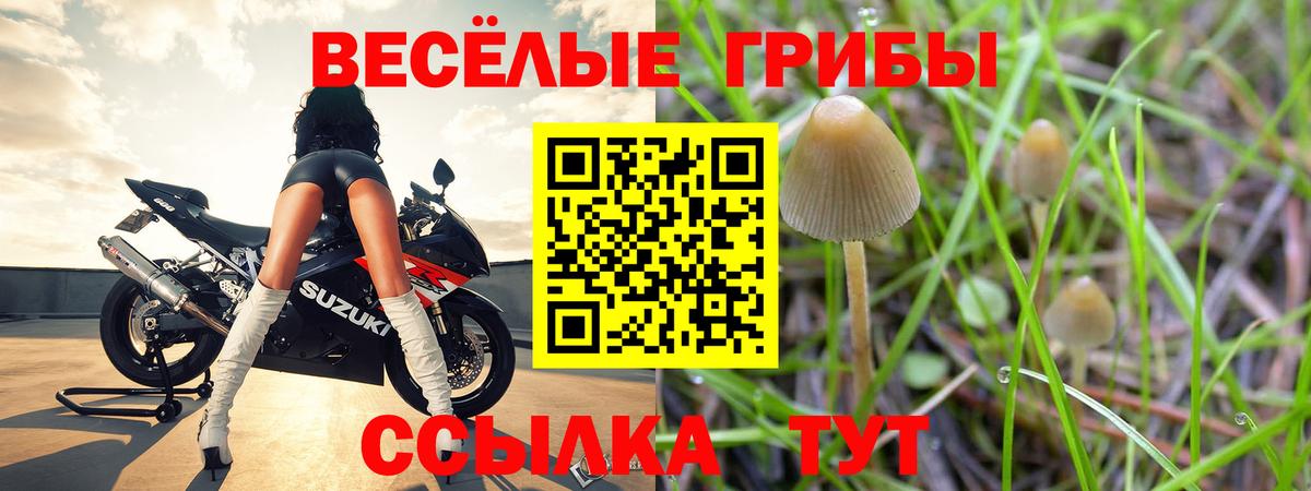 Галлюциногенные грибы Magic Shrooms  Вход с VPN  Удомля 