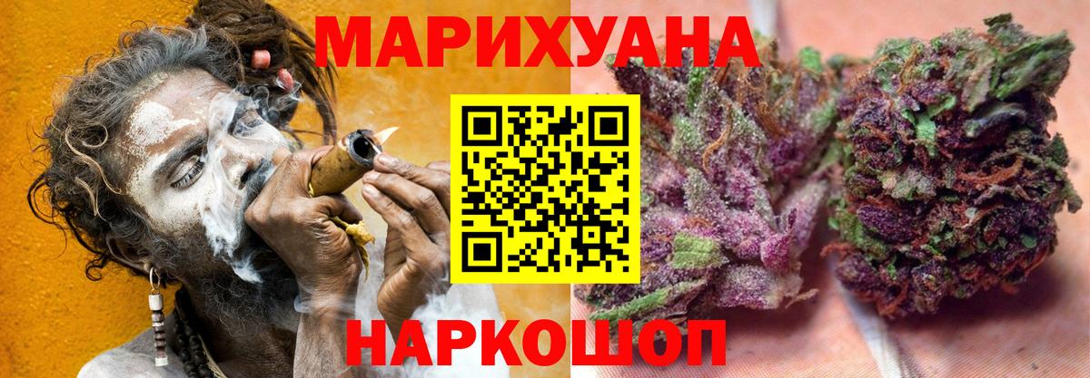 Бошки Шишки план Удомля